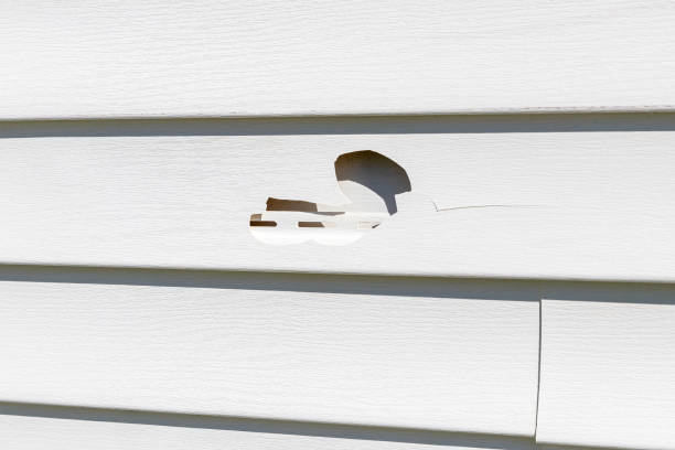 Reliable Tremont, PA Siding Solutions